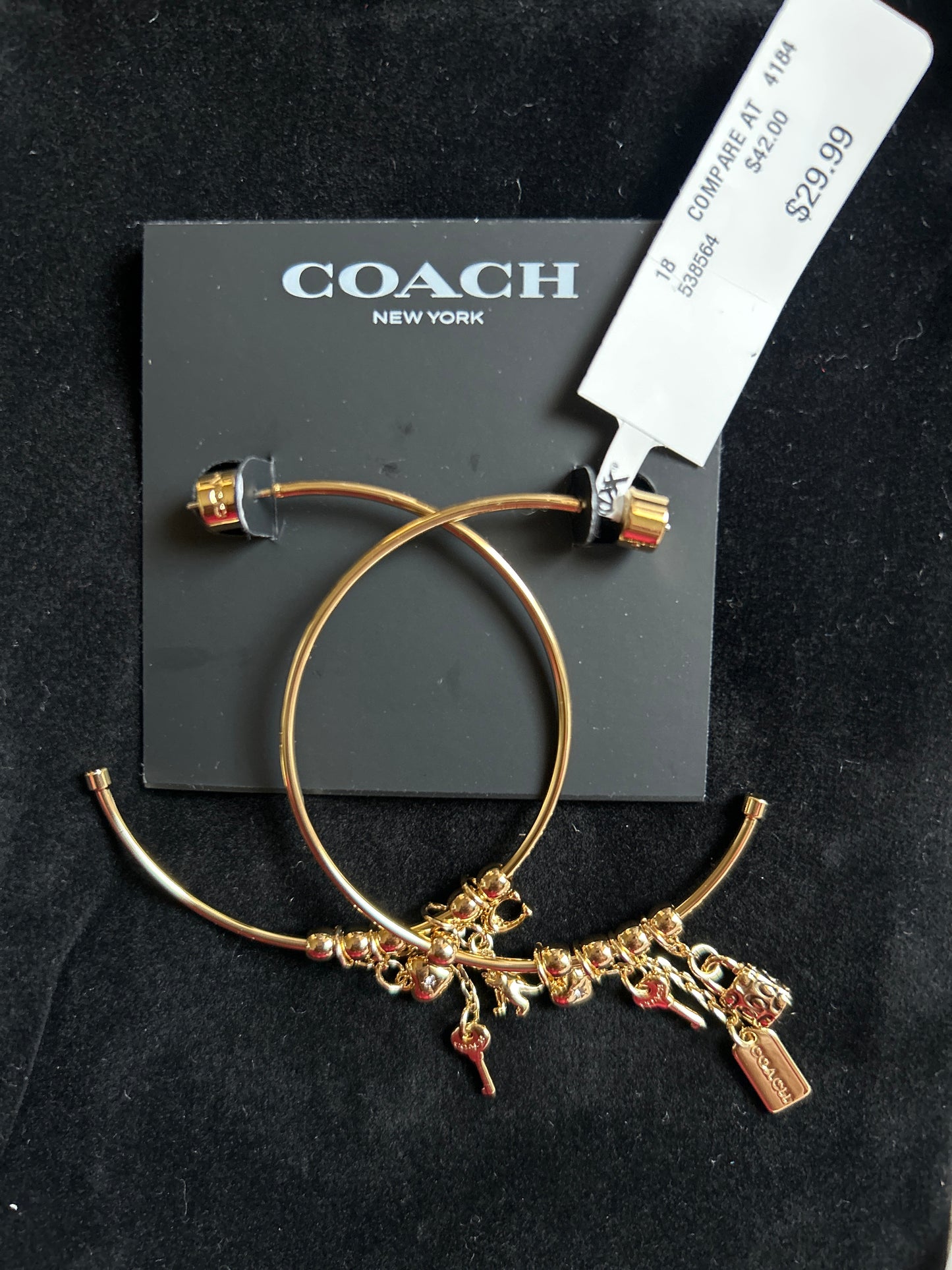 Authentic Designer Earrings