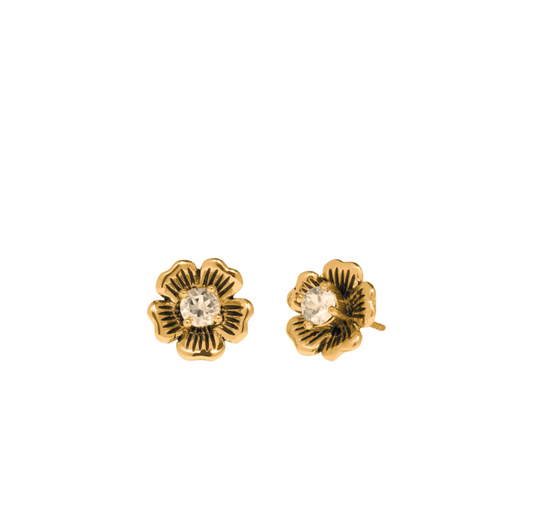 Authentic Designer Earrings