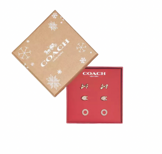 Authentic Designer Box Earring Set